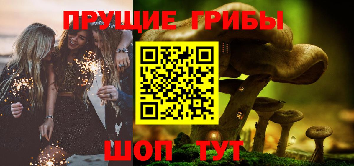 Россошь  Галлюциногенные грибы прущие грибы  Вход с VPN 