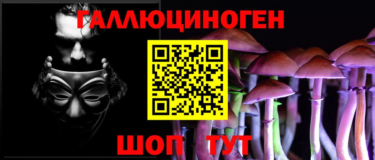 Псилоцибиновые грибы Cubensis Россошь